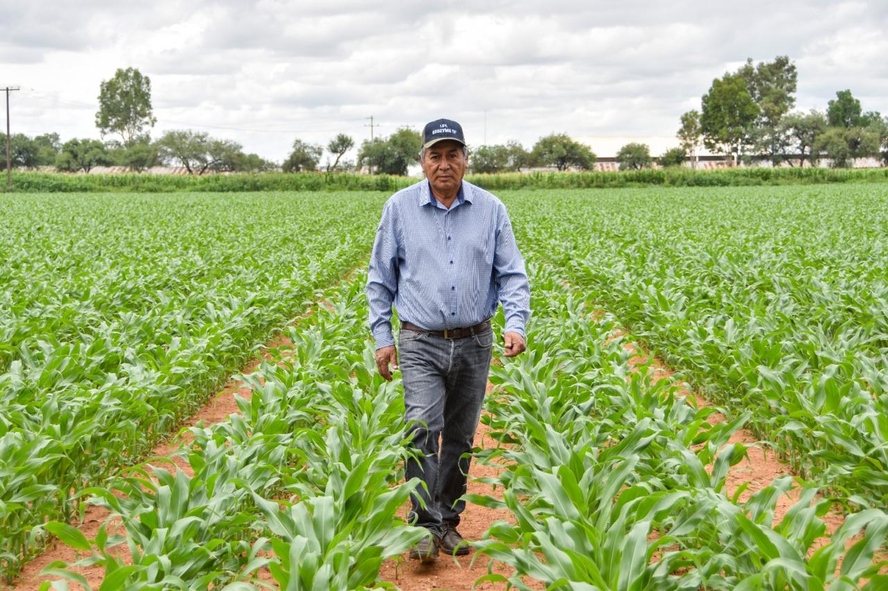 Más agua en la presa Calles da certeza a productores para los próximos ciclos agrícolas