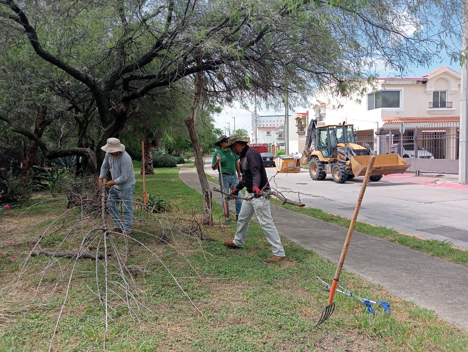 Municipio intensifica acciones de limpieza y conservación en el arroyo El Molino