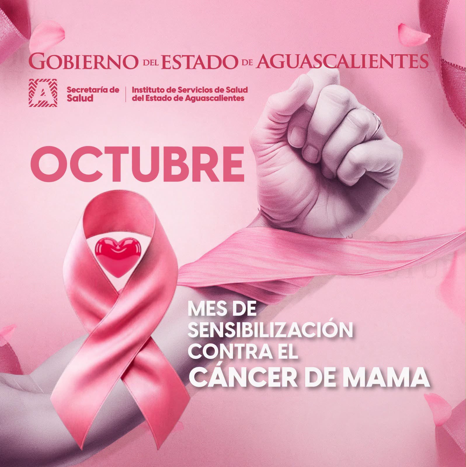 En el mes de la sensibilización sobre el cáncer de mama, invitan a mujeres a realizarse mastografías gratis