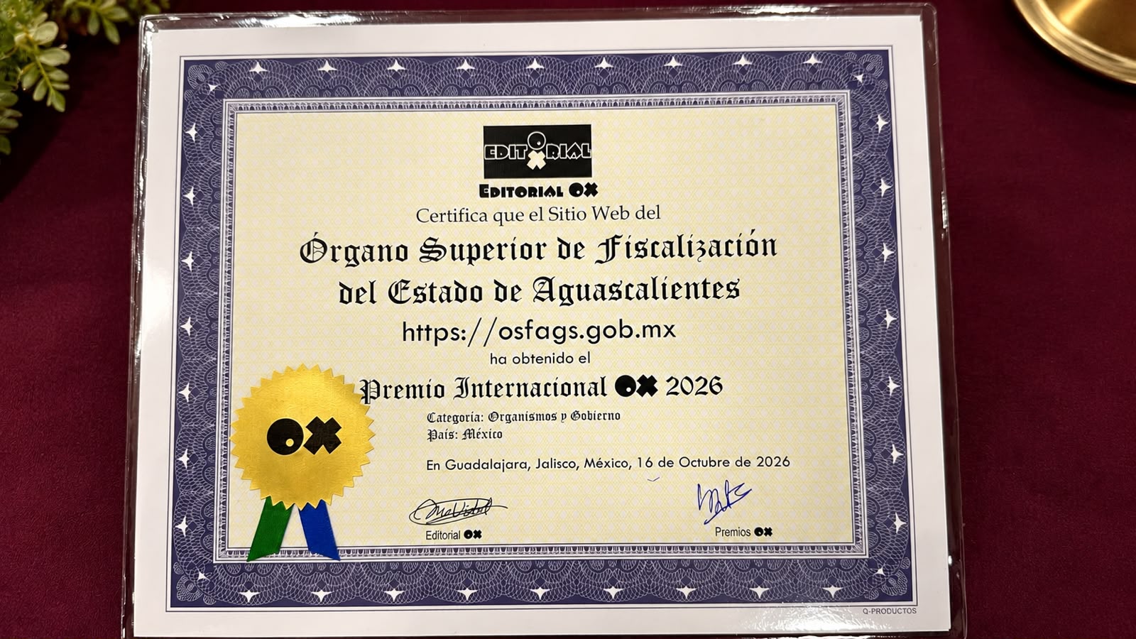 El OSFAGS gana el Premio Internacional OX 2026 por innovación en su sitio web