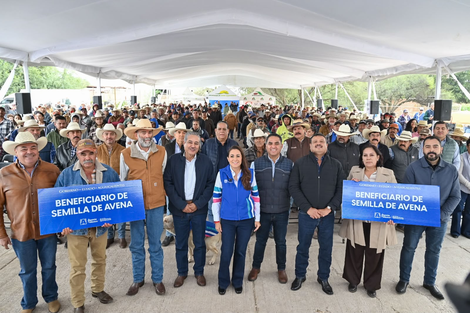 Tere Jiménez apoya a productores de todos los municipios con semilla de avena para alimentar a su ganado