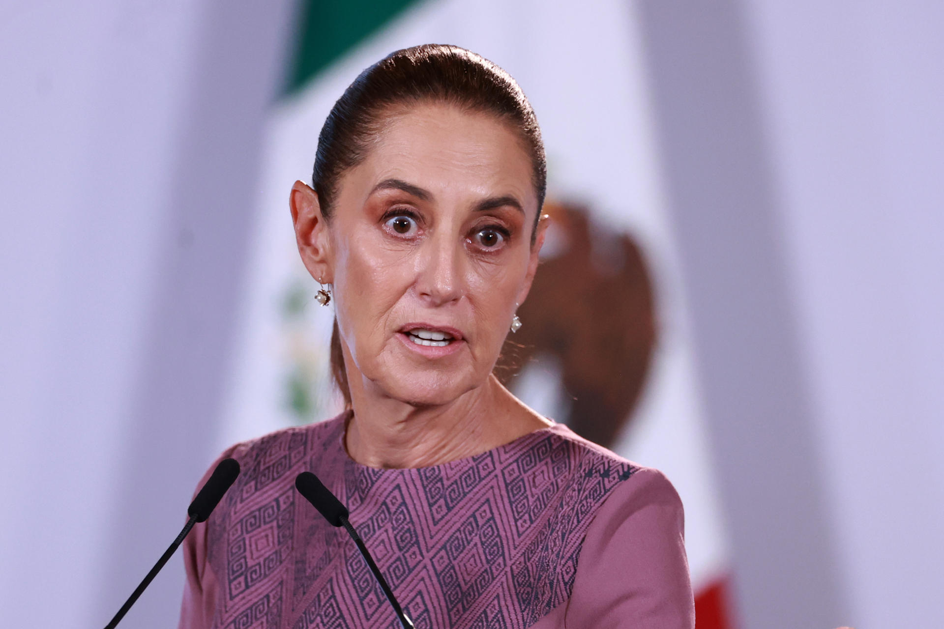 Sheinbaum rechaza daños contra estatua de Felipe Calderón en Los Pinos